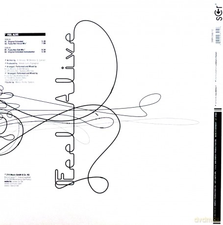 Feel Alive (Vinyl Maxi Single) [Winyl]