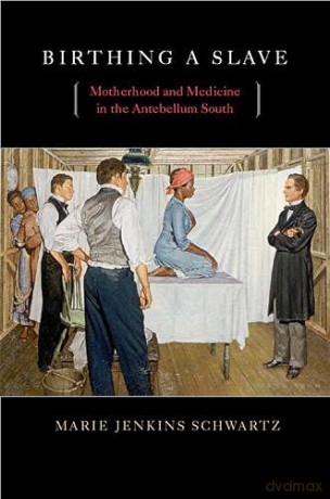Birthing a Slave - Marie Jenkins Schwartz [KSIĄŻKA]