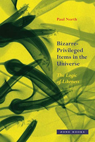 Bizarre-Privileged Items in the Universe: The Logic of Likeness - Paul North [KSIĄŻKA]