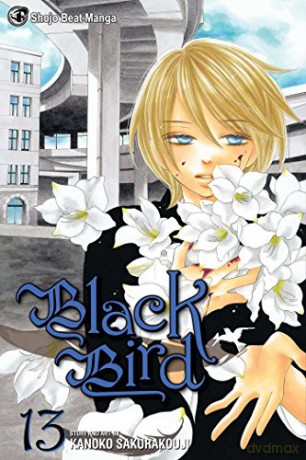Black Bird Gn Vol 13 - Kanoko Sakurakoji [KSIĄŻKA]