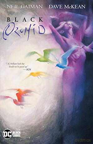 Black Orchid - Neil Gaiman [KSIĄŻKA]
