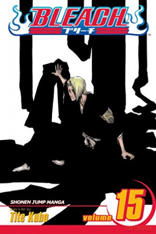 Bleach Volume 15: Beginning of the Death of Tomorrow - Tite Kubo [KSIĄŻKA]