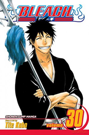 Bleach Volume 30: There Is No Heart Without You - Tite Kubo [KSIĄŻKA]