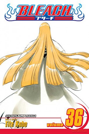 Bleach Volume 36: Turn Back the Pendulum - Tite Kubo [KSIĄŻKA]