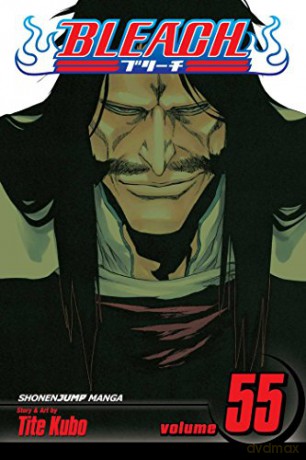 Bleach Volume 55: The Blood Warfare - Tite Kubo [KSIĄŻKA]