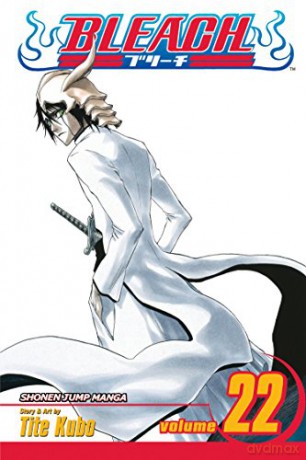 Bleach: Volume 22 (Bleach) - Tite Kubo [KSIĄŻKA]