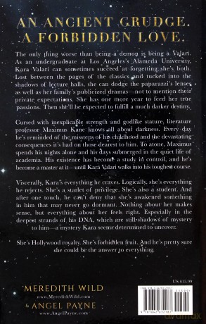 Blood of Zeus: Blood of Zeus: Book One (Volume 1) - Angel Payne [KSIĄŻKA]