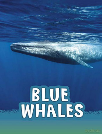 Blue Whales (Animals) - Mari Schuh [KSIĄŻKA]