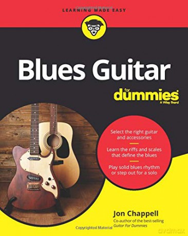Blues Guitar For Dummies [KSIĄŻKA]