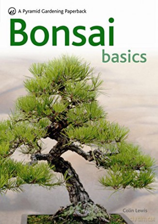 Bonsai Basics: A Pyramid Paperback (Pyramids) - Colin Lewis [KSIĄŻKA]