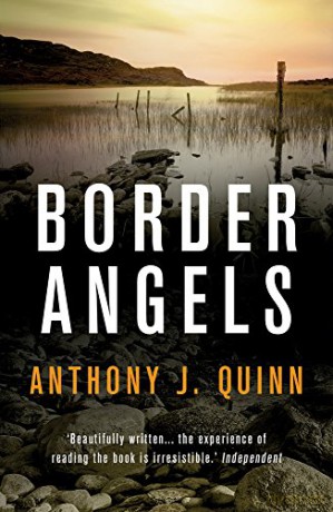 Border Angels (Celsius Daly 2) (Inspector Celcius Daly) - Anthony J. Quinn [KSIĄŻKA]