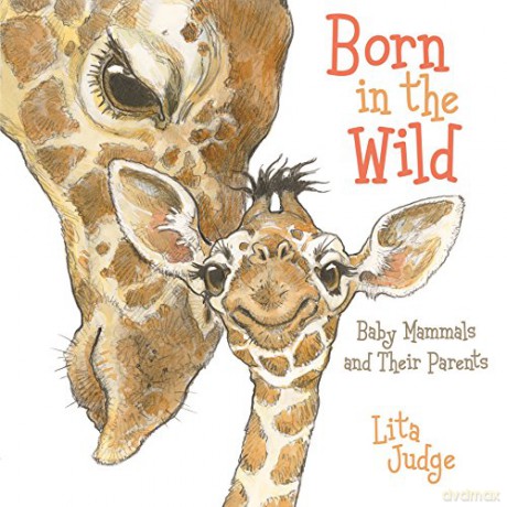 Born in the Wild: Baby Animals and Their Parents - Lita Judge [KSIĄŻKA]