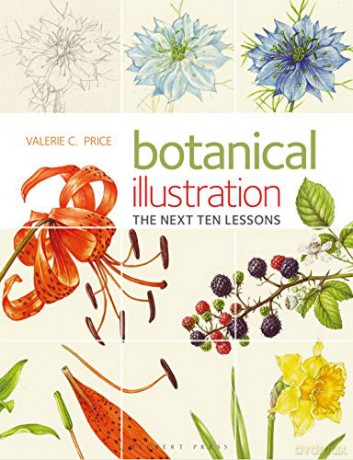 Botanical Illustration The Next Ten Lessons: Colour and Composition - Valerie Price [KSIĄŻKA]