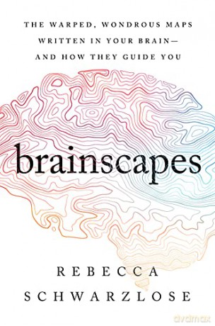 Brainscapes: The Warped, Wondrous Maps Written in Your Brain--And How They Guide You - Rebecca Schwarzlose [KSIĄŻKA]