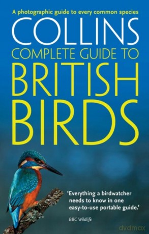 Collins Complete Guide To British Birds - Paul Sterry [KSIĄŻKA]