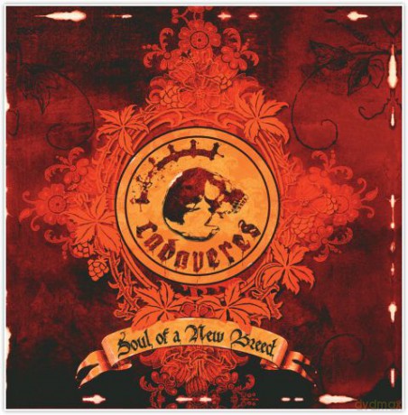 Soul Of A New Breed [CD]