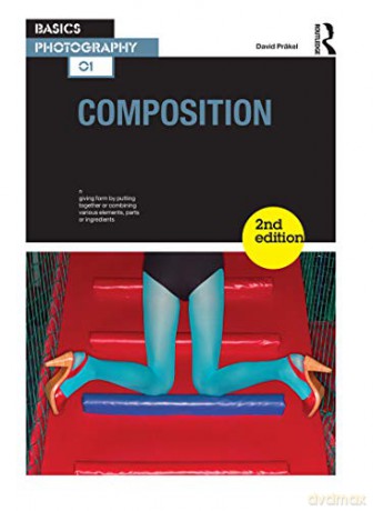 Composition: 1 (Basics Photography) - David Prakel [KSIĄŻKA]