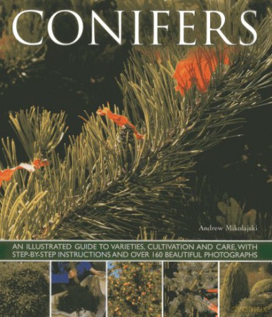 Conifers: An Illustrated Guide to Varieties, Cultivation and Care, with Step-By-Step Instructions and Over 160 Beautiful Photographs - Andrew Mikolajski [KSIĄŻKA]