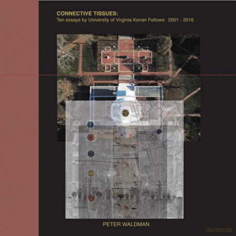 Connective Tissues: Ten Essays by University of Virginia Kenan Fellows 2001-2016 - Peter Waldman [KSIĄŻKA]