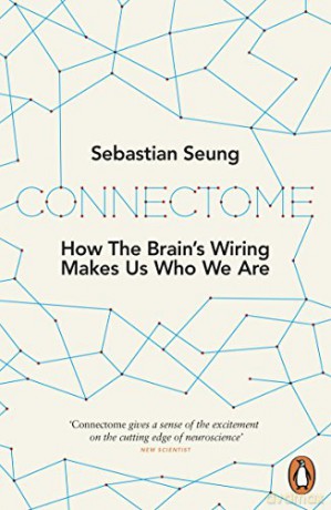 Connectome: How the Brain's Wiring Makes Us Who We Are - Sebastian Seung [KSIĄŻKA]