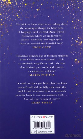 Consolations: The Solace, Nourishment and Underlying Meaning of Everyday Words - David Whyte [KSIĄŻKA]