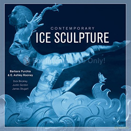 Contemporary Ice Sculpture - E. Ashley Rooney [KSIĄŻKA]