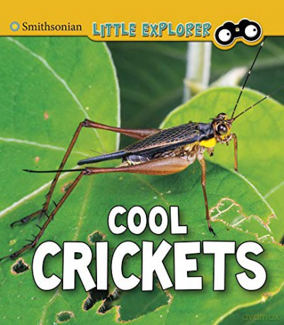 Cool Crickets (Insect Explorer) - Megan Cooley Peterson [KSIĄŻKA]