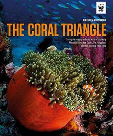 Coral Triangle - Ken Kassem [KSIĄŻKA]