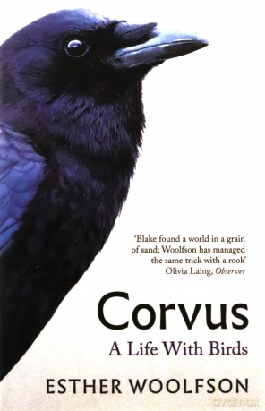 Corvus: A Life With Birds - Esther Woolfson [KSIĄŻKA]