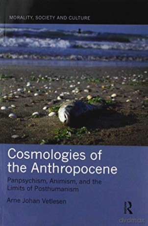 Cosmologies of the Anthropocene: Panpsychism, Animism, and the Limits of Posthumanism (Morality, Society and Culture) - Arne Johan Vetlesen [KSIĄŻKA]