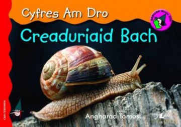 Creaduriaid Bach (Cyfres am Dro) - Angharad Tomos [KSIĄŻKA]