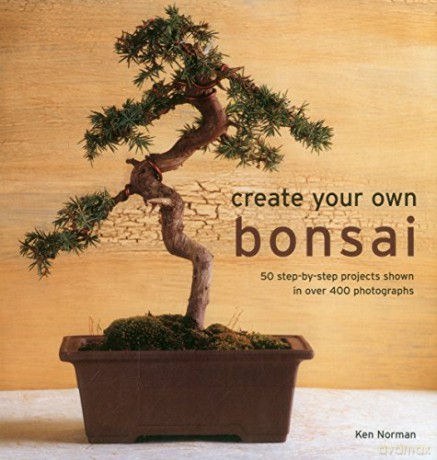Create Your Own Bonsai: 50 Step-by-Step Projects Shown in Over 400 Photographs - Ken Norman [KSIĄŻKA]