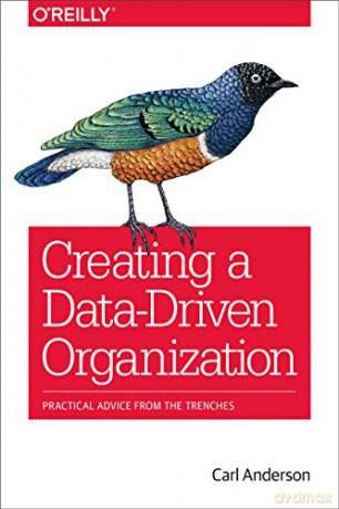 Creating a Data-Driven Organization: Practical Advice from the Trenches - Carl Anderson [KSIĄŻKA]