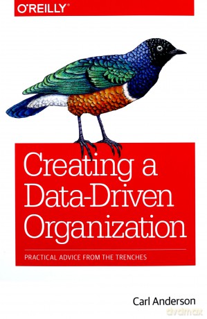 Creating a Data-Driven Organization: Practical Advice from the Trenches - Carl Anderson [KSIĄŻKA]