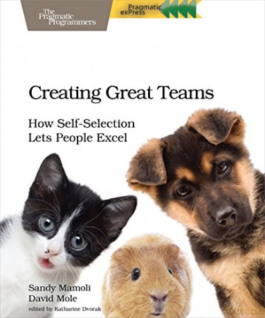 Creating Great Teams: How Self-Selection Lets People Excel - David Mole [KSIĄŻKA]