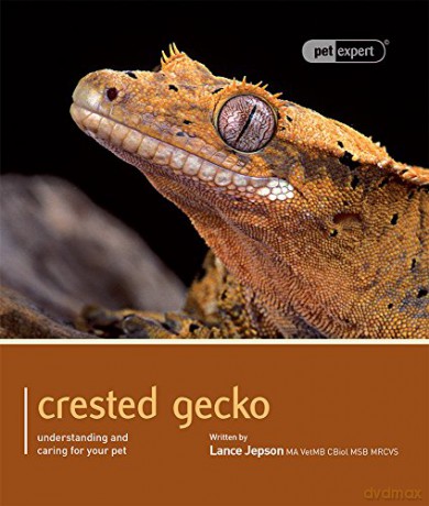Crested Gecko - Pet Expert: Understanding and Caring for Your Pet - Lance Jepson [KSIĄŻKA]