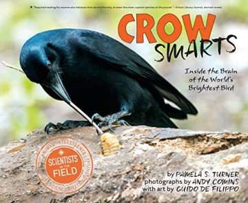 Crow Smarts: Inside the Brain of the World's Brightest Bird (Scientists in the Field) - Turner Pamela S. Turner [KSIĄŻKA]