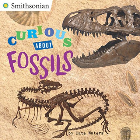Curious About Fossils (Smithsonian) - Kate Waters [KSIĄŻKA]