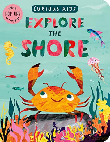 Curious Kids: Explore the Shore: With Pop-Ups on Every Page - Jonny Marx [KSIĄŻKA]