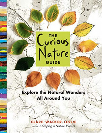 Curious Nature Guide, The: Explore the Natural Wonders All Around You - Walker, Clare Leslie [KSIĄŻKA]