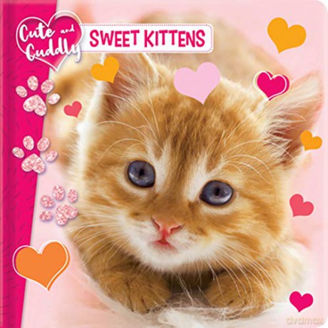 Cute and Cuddly: Sweet Kittens - Marine Guion [KSIĄŻKA]