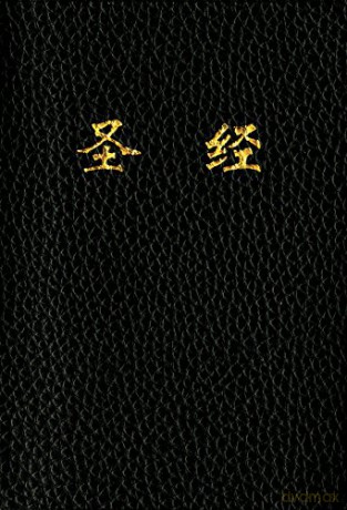 CUV Holy Bible Chinese Text Edition [KSIĄŻKA]