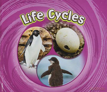 Cycles of Nature Pack B of 5 - Jaclyn Jaycox [KSIĄŻKA]