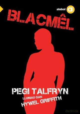 Cyfres Amdani: Blacmel Elsa Bowen - Ditectif Preifat - Pegi Talfryn [KSIĄŻKA]
