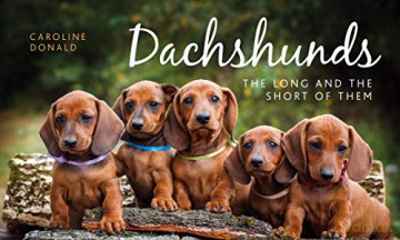 Dachshunds: The Long and the Short of Them - Caroline Donald [KSIĄŻKA]