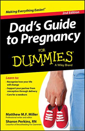Dad's Guide To Pregnancy For Dummies - Mathew Miller [KSIĄŻKA]