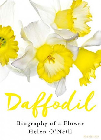 Daffodil - Helen O'Neill [KSIĄŻKA]
