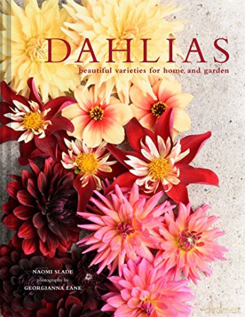 Dahlias: Beautiful varieties for home and garden (Beautiful Varieties/Home/Gardn) - Naomi Slade [KSIĄŻKA]