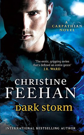 Dark Storm: Number 23 in series (Dark Carpathian) - Christine Feehan [KSIĄŻKA]