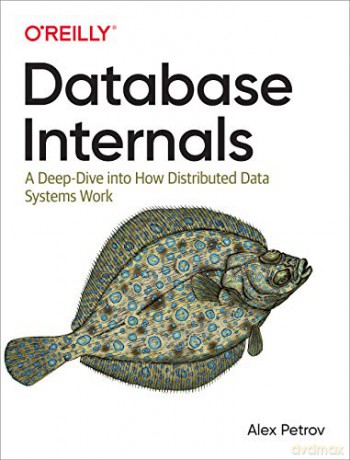 Database Internals: A Deep-Dive Into How Distributed Data Systems Work - Alex Petrov [KSIĄŻKA]